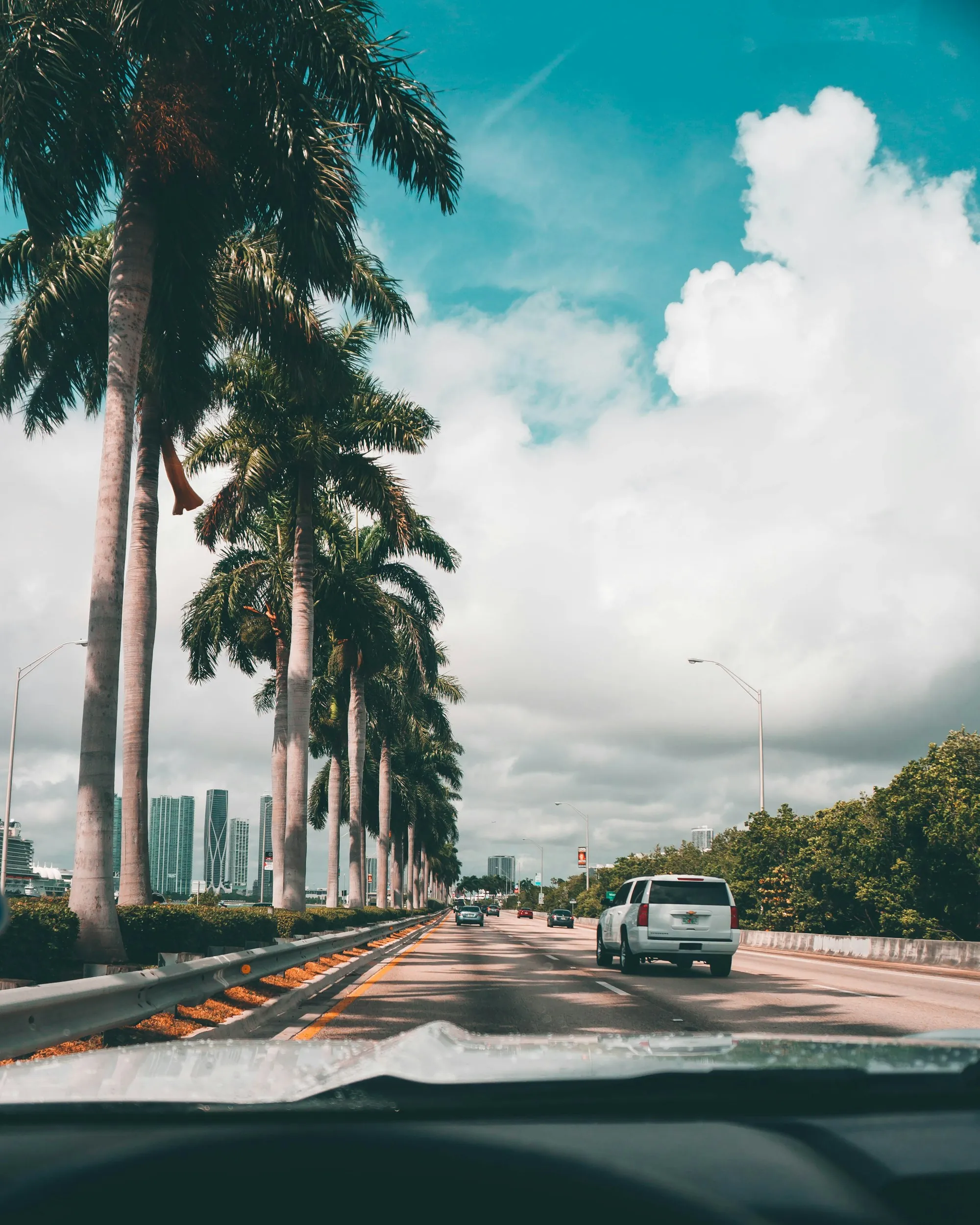 Palm-lined Florida highway with a city skyline in the distance